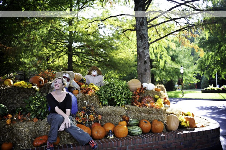 37Frames - Smoky Mountains 11.10-16