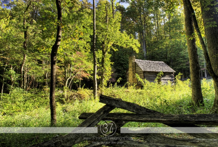 37Frames - Smoky Mountains 11.10-28