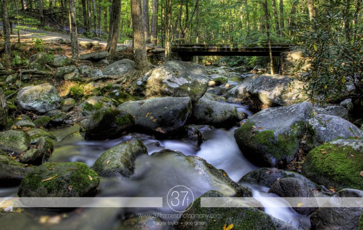 37Frames - Smoky Mountains 11.10-29