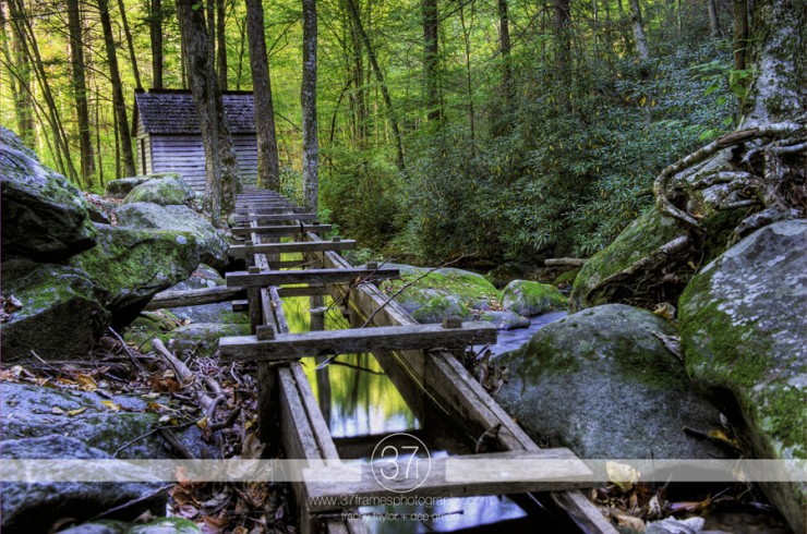 37Frames - Smoky Mountains 11.10-32