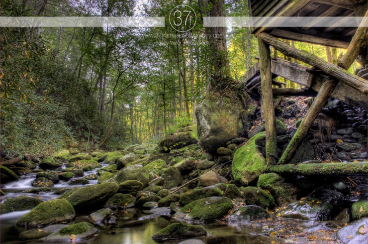 37Frames - Smoky Mountains 11.10-33