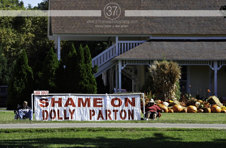 37Frames - Smoky Mountains 11.10-36