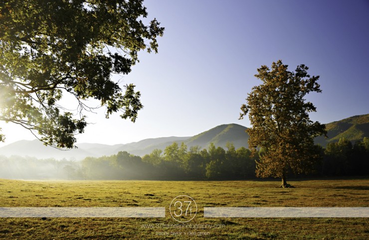 37Frames - Smoky Mountains 11.10-45