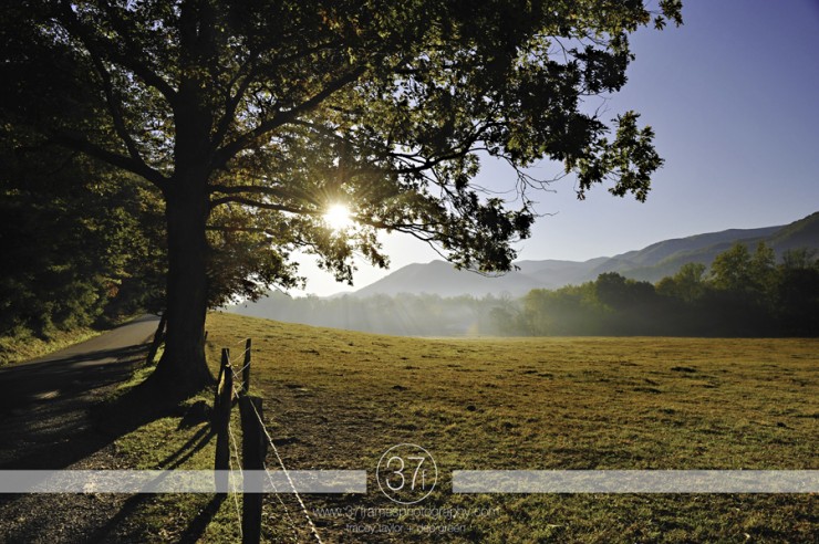 37Frames - Smoky Mountains 11.10-46