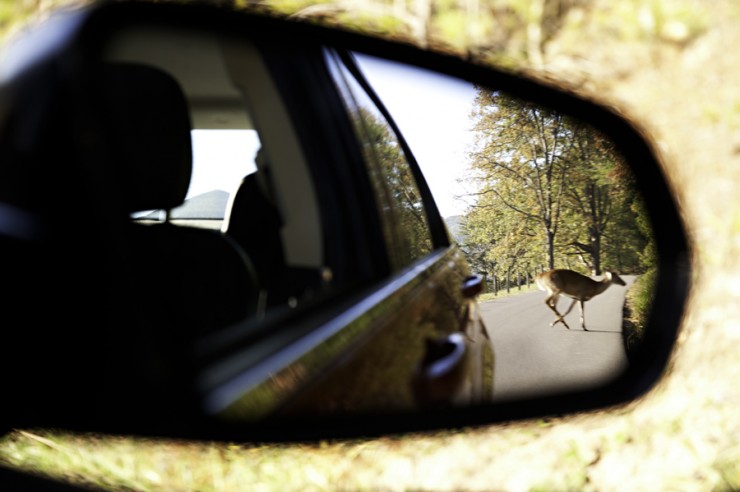 37Frames - Smoky Mountains 11.10-47