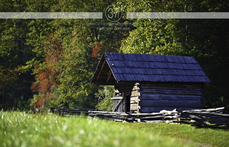 37Frames - Smoky Mountains 11.10-51