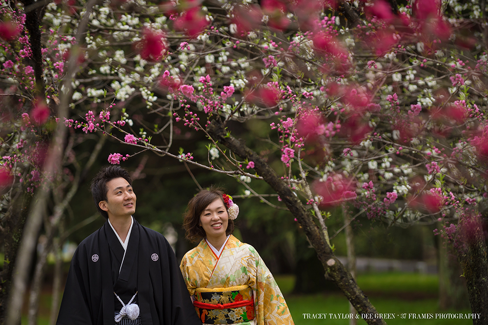 Tomoko and Stephen. Kyoto Engagement. March 27, 2014...