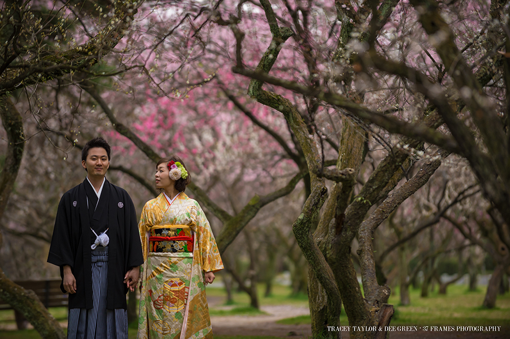 Tomoko and Stephen. Kyoto Engagement. March 27, 2014...