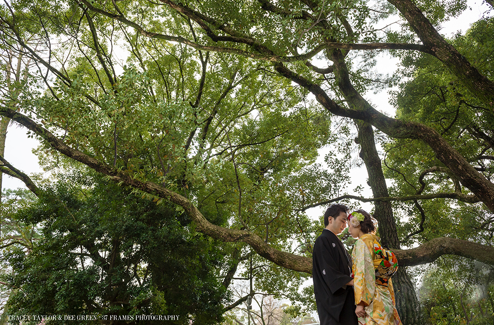 Tomoko and Stephen. Kyoto Engagement. March 27, 2014...