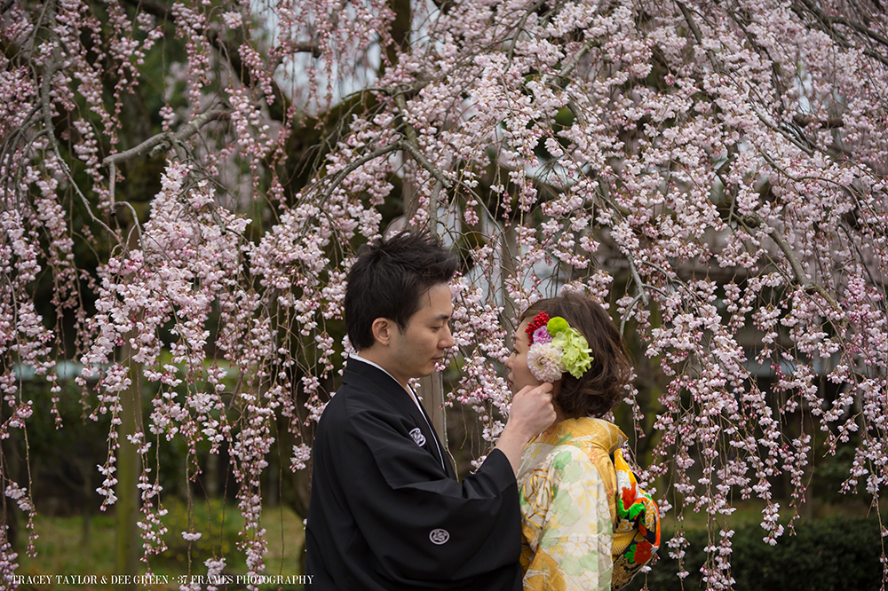 Tomoko and Stephen. Kyoto Engagement. March 27, 2014...